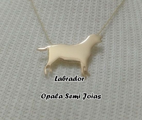 Labrador